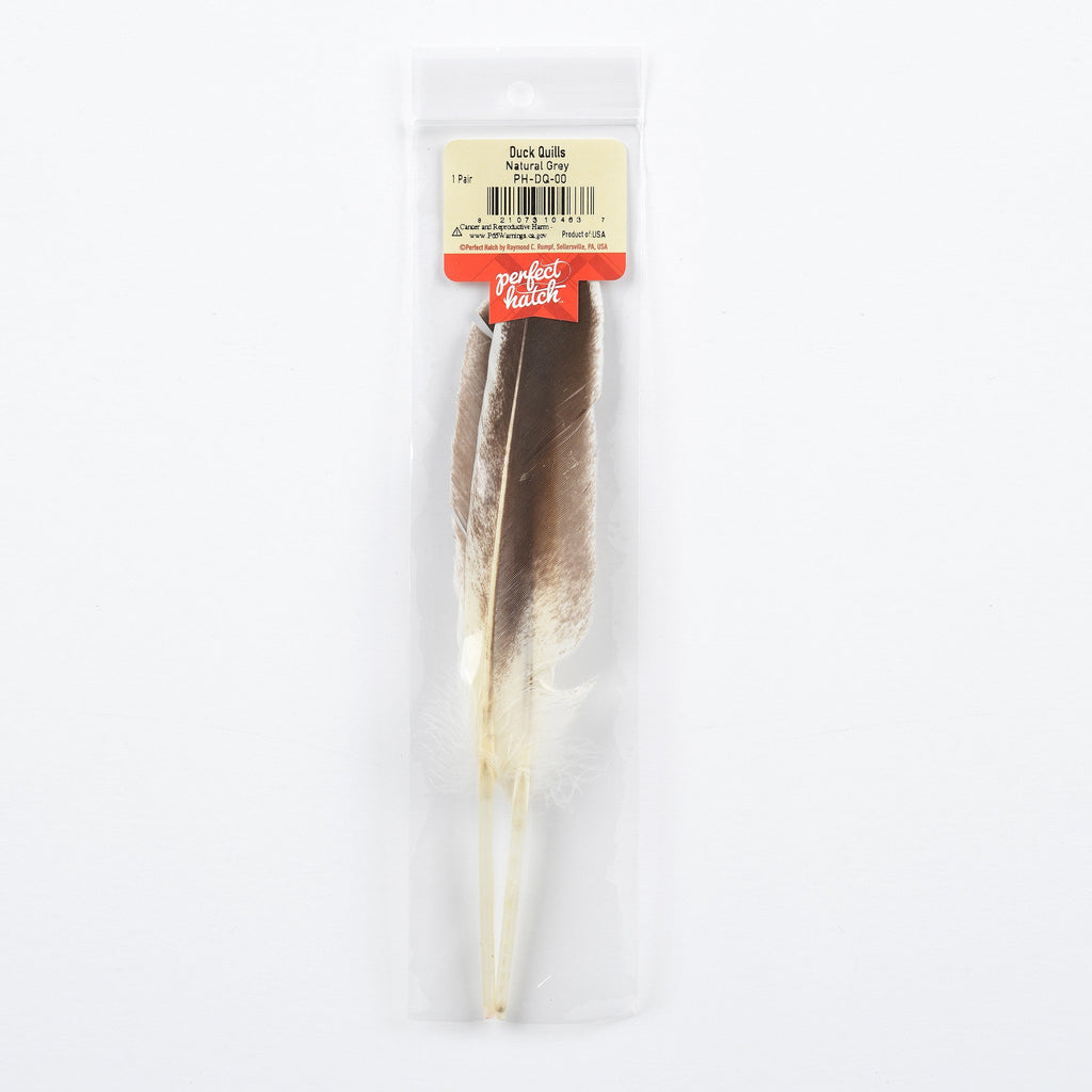 Duck Quills