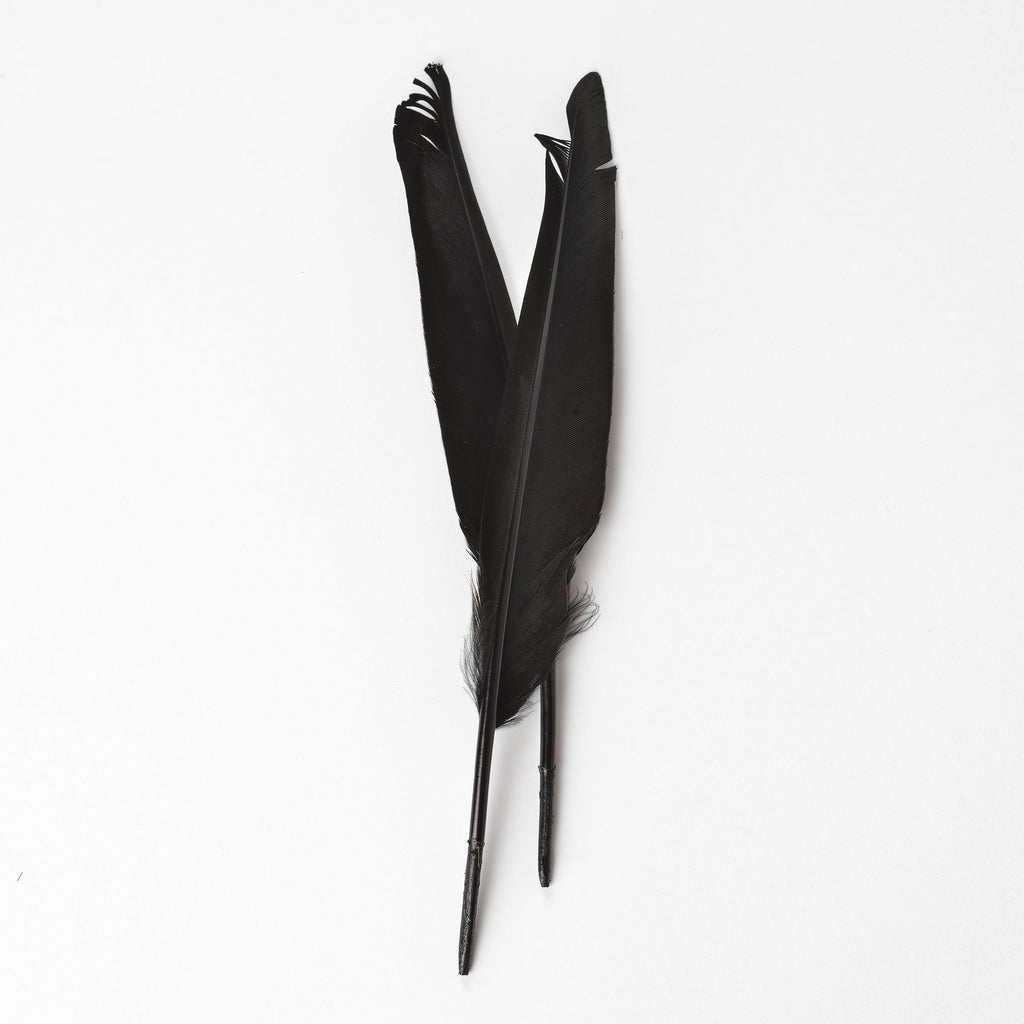 Duck Quills