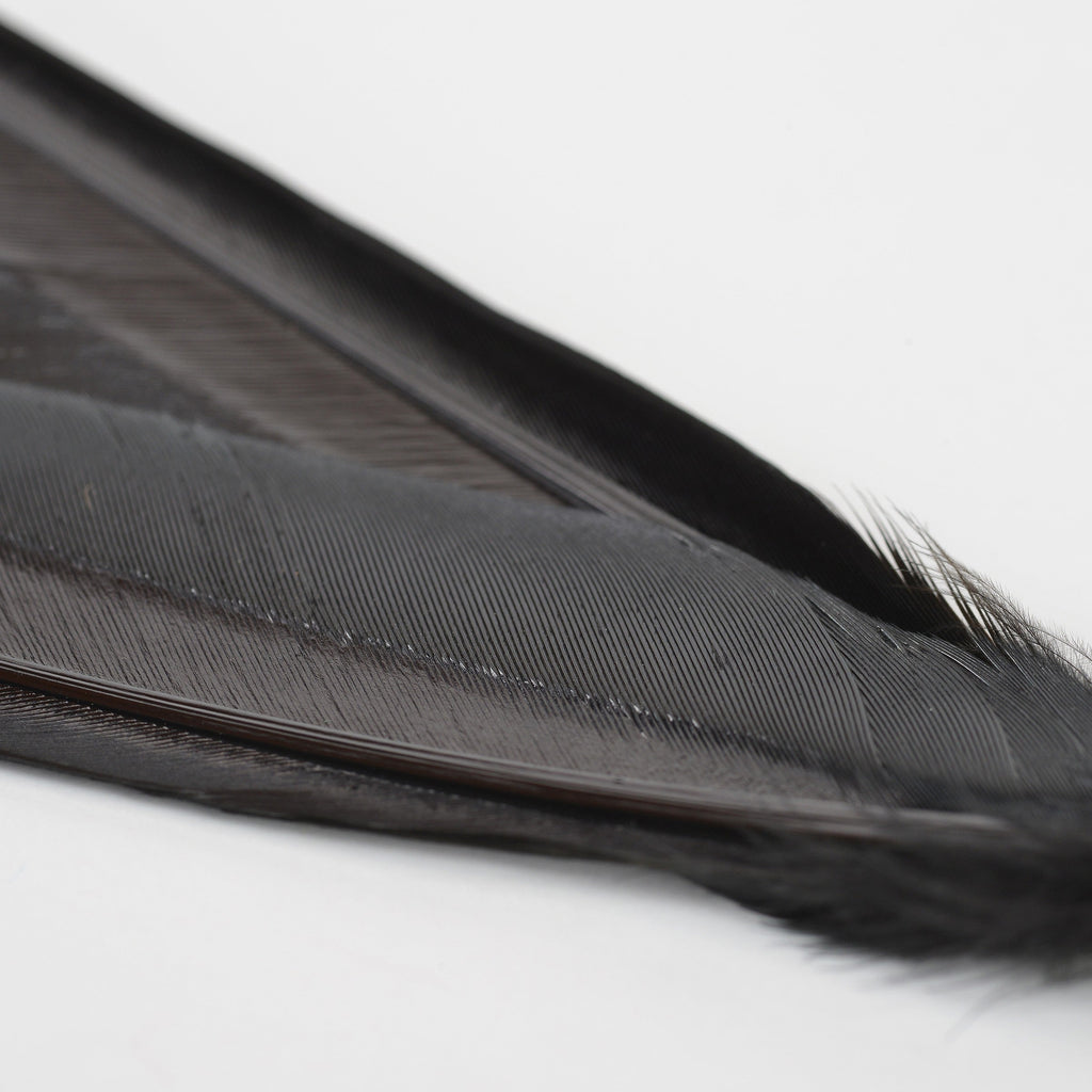 Duck Quills