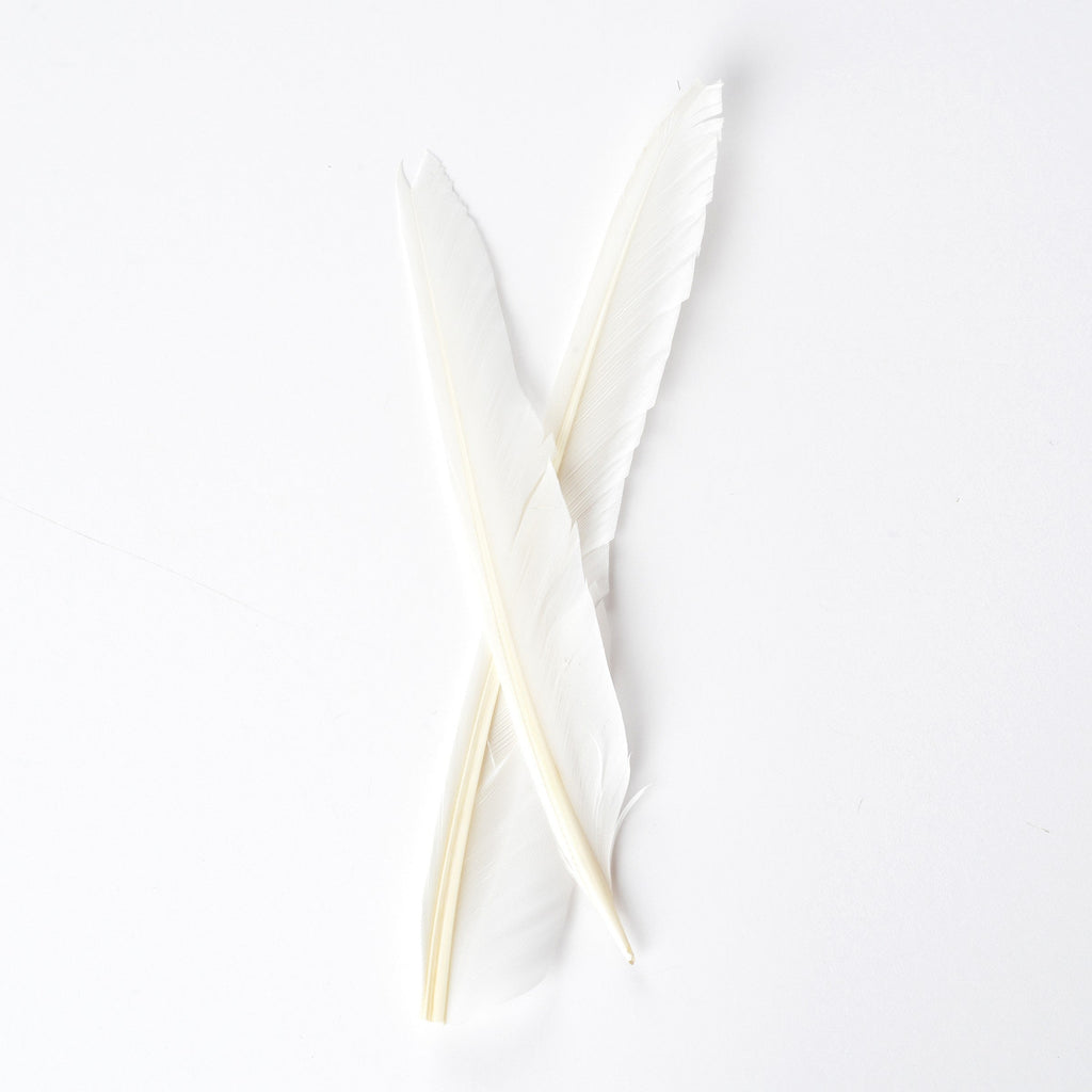 Duck Quills