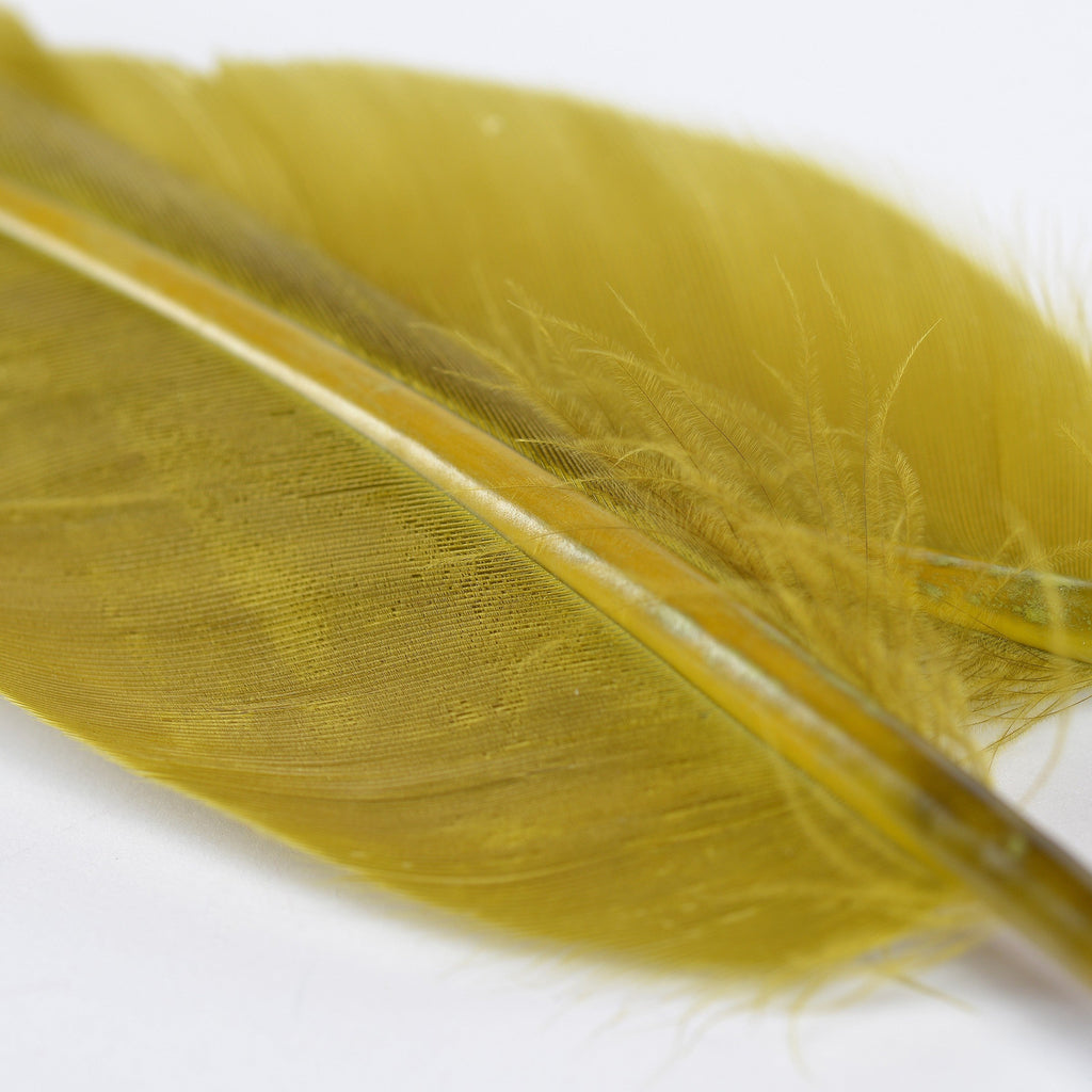 Duck Quills