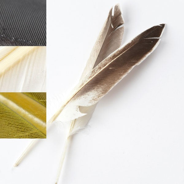 Duck Quills