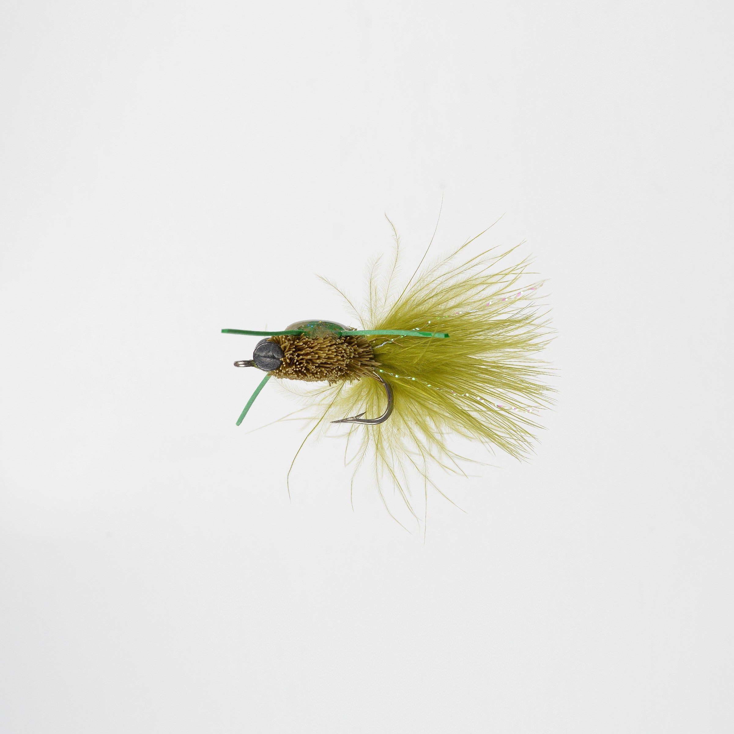 Saltwater Diving Crab Olive