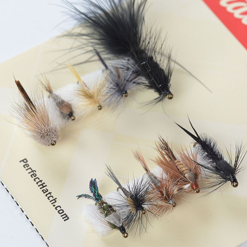 Eastern Trout Assortment