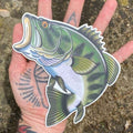 DrewLR Sticker - Large and in Charge